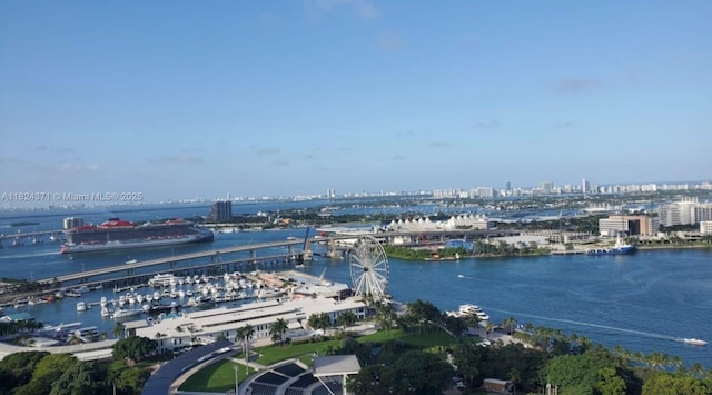 50 Biscayne Blvd Unit 3006, Miami, FL 33132 - water view featuring nearby urban area