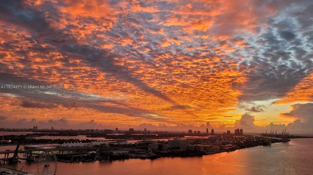 50 Biscayne Blvd Unit 3006, Miami, FL 33132 - water view with nearby urban area