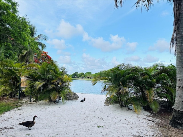 9510 SW 151st Ct, Miami, FL 33196 - water view