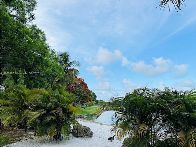 9510 SW 151st Ct, Miami, FL 33196 - water view