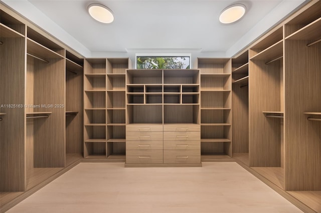3670 Avocado Ave, Miami, FL 33133 - spacious closet with wood finished floors