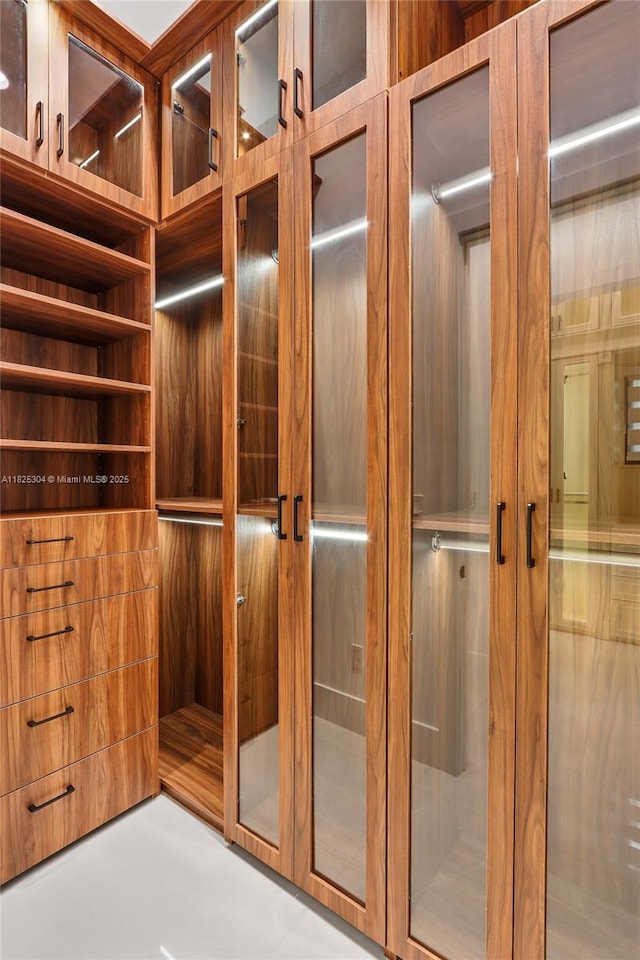 7025 SW 80th Ct, Miami, FL 33143 - view of spacious closet