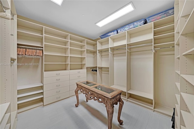 9601 Collins Ave Unit 809, Bal Harbour, FL 33154 - view of spacious closet