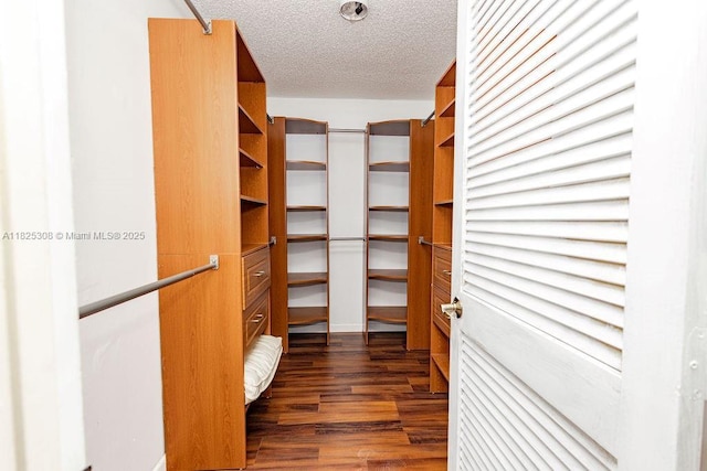 3420 NW 21st Ct, Coconut Creek, FL 33066 - walk in closet with dark wood-style flooring