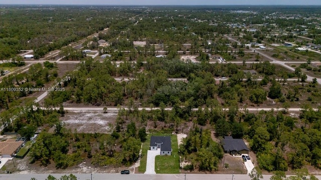 719 Almelia St E, Lehigh Acres, FL 33974 - aerial view of property and surrounding area
