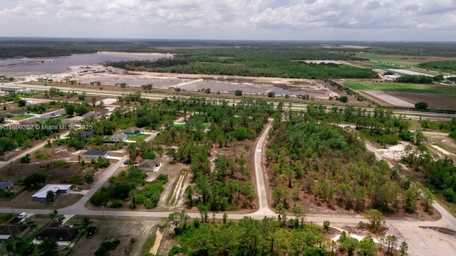 719 Almelia St E, Lehigh Acres, FL 33974 - aerial view of property and surrounding area
