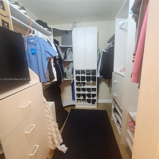 2017 NW 182nd Ave, Pembroke Pines, FL 33029 - view of walk in closet