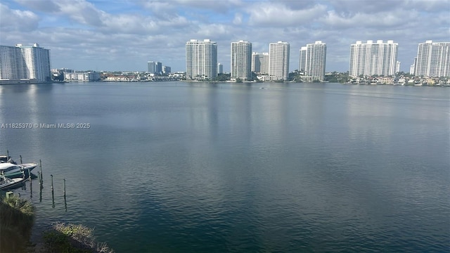 17878 N Bay Rd Unit 507, Sunny Isles Beach, FL 33160 - water view with city skyline