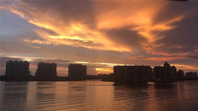 17878 N Bay Rd Unit 507, Sunny Isles Beach, FL 33160 - water view with skyline