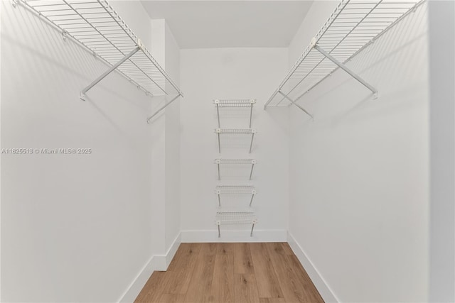 7720 NW 79th Ave Unit B6, Tamarac, FL 33321 - walk in closet with light wood-type flooring