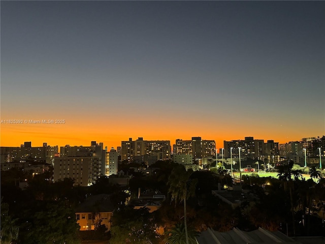 1020 Meridian Ave Unit 816, Miami Beach, FL 33139 - city view