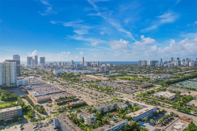 1333 E Hallandale Beach Blvd Unit 311, Hallandale Beach, FL 33009 - photo 32