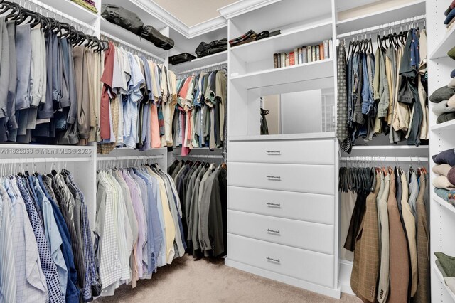 11844 Foxbriar Lake Trl, Boynton Beach, FL 33473 - spacious closet with carpet