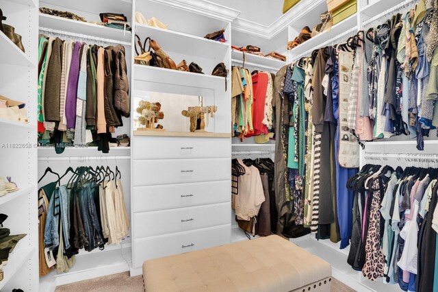 11844 Foxbriar Lake Trl, Boynton Beach, FL 33473 - view of walk in closet