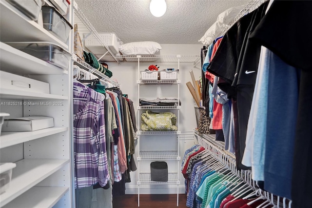 10967 NW 12th Dr, Coral Springs, FL 33071 - walk in closet featuring wood finished floors