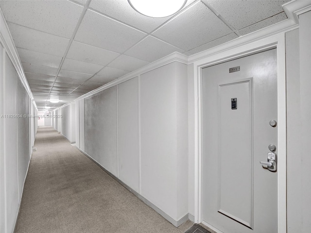 1470 NE 123rd St Unit Aph9, North Miami, FL 33161 - corridor with carpet and a drop ceiling