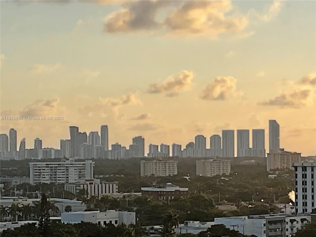 1470 NE 123rd St Unit Aph9, North Miami, FL 33161 - view of city skyline