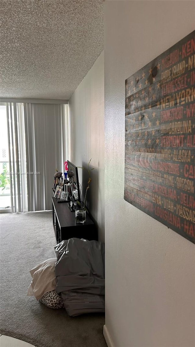 100 Bayview Dr Unit 1030, Sunny Isles Beach, FL 33160 - hallway with carpet floors and a textured ceiling