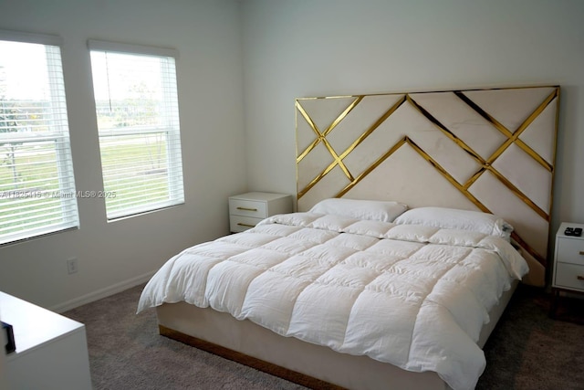 2375 Lancashire St, Davenport, FL 33896 - carpeted bedroom featuring multiple windows