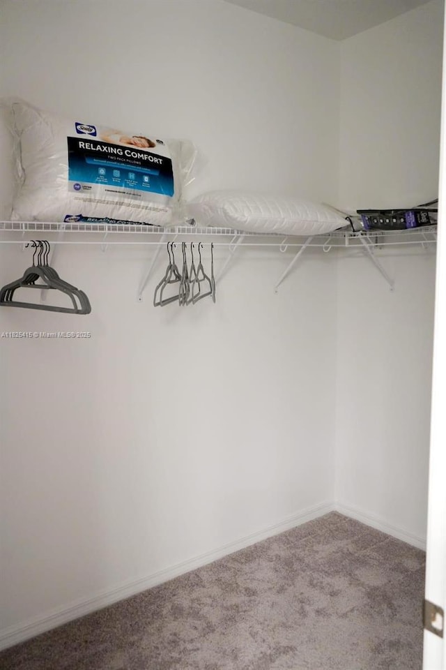 2375 Lancashire St, Davenport, FL 33896 - walk in closet featuring carpet flooring