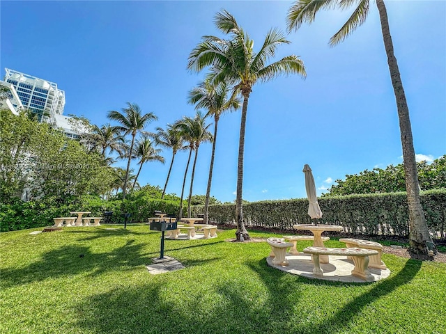 6767 Collins Ave Unit 704, Miami Beach, FL 33141 - surrounding community featuring a yard