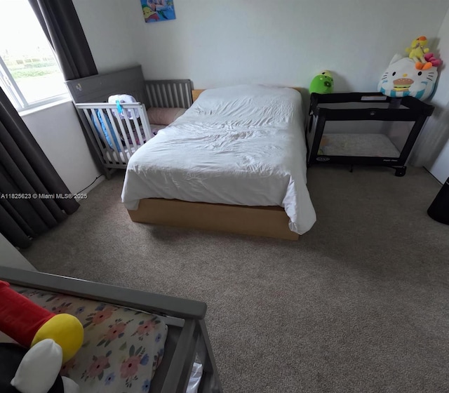 985 NE 34th Ave Unit 203, Homestead, FL 33033 - view of carpeted bedroom