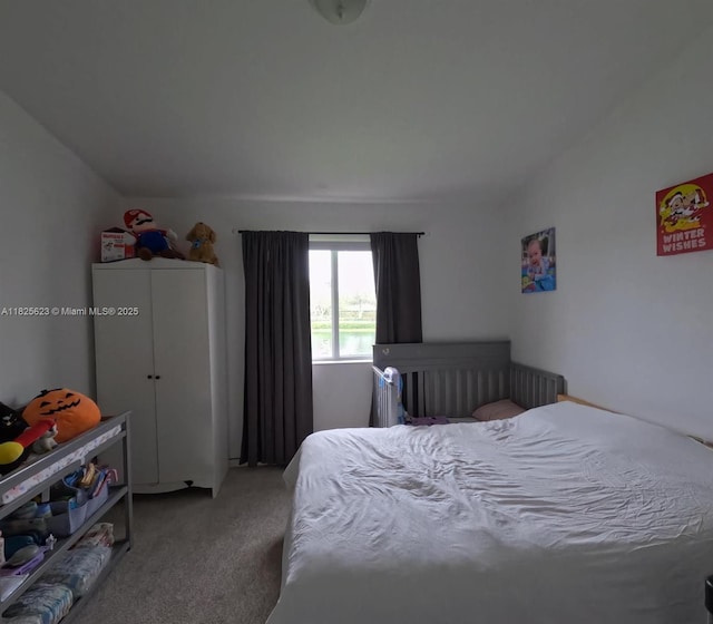 985 NE 34th Ave Unit 203, Homestead, FL 33033 - view of carpeted bedroom