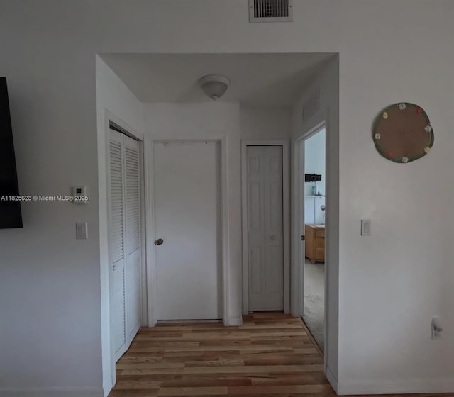 985 NE 34th Ave Unit 203, Homestead, FL 33033 - hall with light wood finished floors