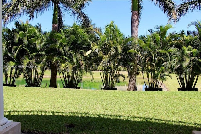19383 SW 79th Ave, Cutler Bay, FL 33157 - view of property's community featuring a lawn and a water view