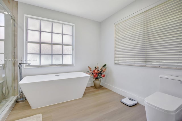 676 NW 133rd Dr, Plantation, FL 33325 - bathroom with wood finished floors and a freestanding bath