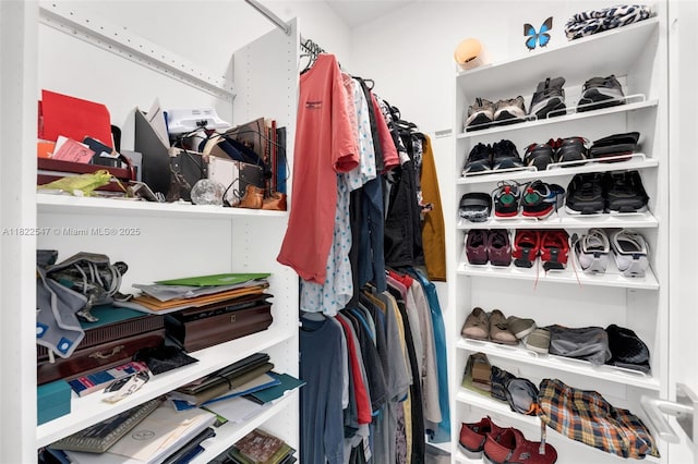 4212 NE 7th Ter, Oakland Park, FL 33334 - view of walk in closet