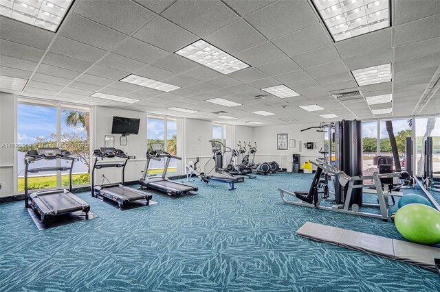 500 Bayview Dr Unit 228, Sunny Isles Beach, FL 33160 - workout area featuring healthy amount of natural light, carpet floors, and a paneled ceiling