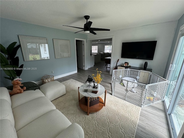 6504 N Packwood Ave, Tampa, FL 33604 - photo 6