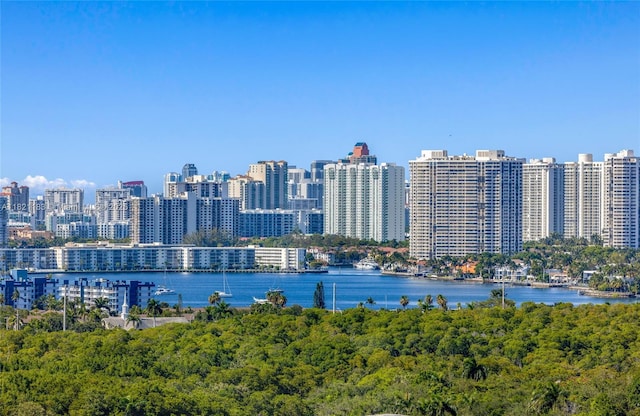 15051 Royal Oaks Ln Unit 1901, North Miami, FL 33181 - water view with skyline
