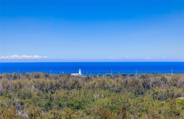 15051 Royal Oaks Ln Unit 1901, North Miami, FL 33181 - water view