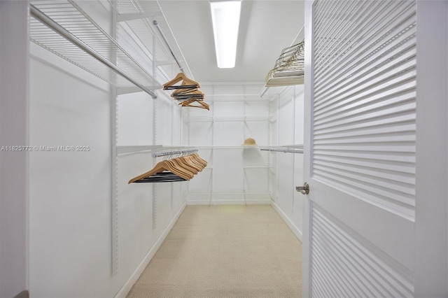 10220 SW 108th St, Miami, FL 33176 - spacious closet featuring light colored carpet