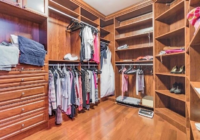 1379 NW 166th Ave, Pembroke Pines, FL 33028 - spacious closet with wood finished floors