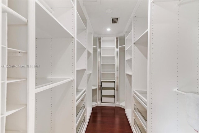 1550 NW 114th Ave, Plantation, FL 33323 - walk in closet featuring dark wood-style flooring
