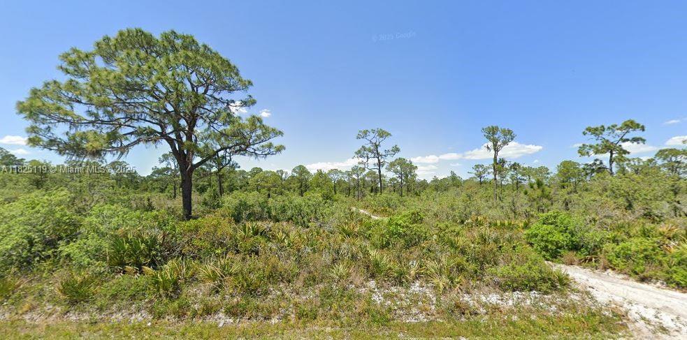 664 Hallmark Ave, Lake Placid, FL 33852