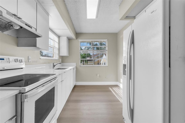 2246 SE 27th Dr Unit 204-D, Homestead, FL 33035 - kitchen with white appliances, under cabinet range hood, light countertops, light wood-style flooring, and white cabinetry