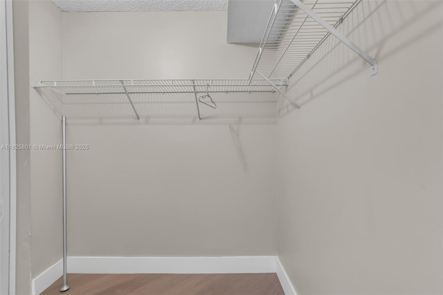 2246 SE 27th Dr Unit 204-D, Homestead, FL 33035 - spacious closet featuring wood finished floors