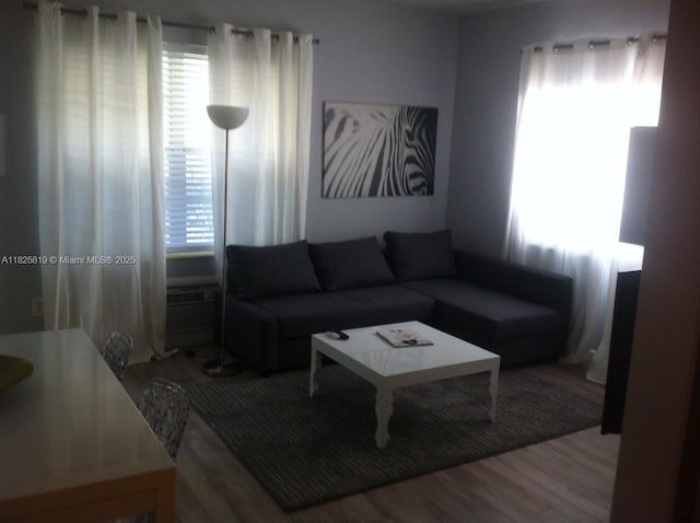 1325 Meridian Ave Unit 6, Miami Beach, FL 33139 - living area with wood finished floors