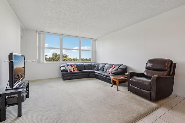 900 Saint Charles Pl Unit 420, Pembroke Pines, FL 33026 - living area featuring carpet flooring and a textured ceiling