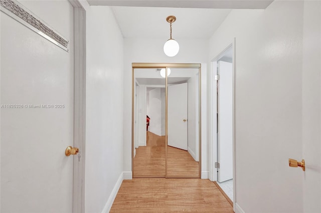 1750 NE 191st St Unit 106-1, Miami, FL 33179 - corridor with light wood finished floors and baseboards