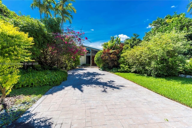 2691 SW 110th Way, Davie, FL 33328 - view of property hidden behind natural elements with decorative driveway