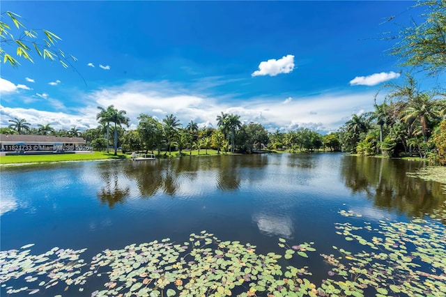 2691 SW 110th Way, Davie, FL 33328 - water view