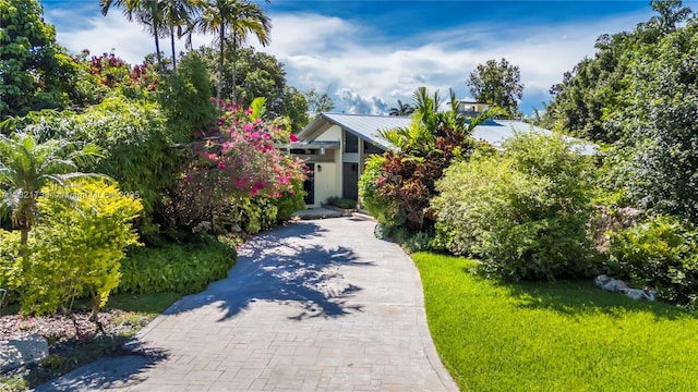 2691 SW 110th Way, Davie, FL 33328 - view of property hidden behind natural elements featuring decorative driveway, a metal roof, and a front lawn