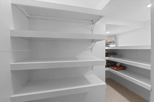 25041 SW 108th Ave, Homestead, FL 33032 - view of pantry