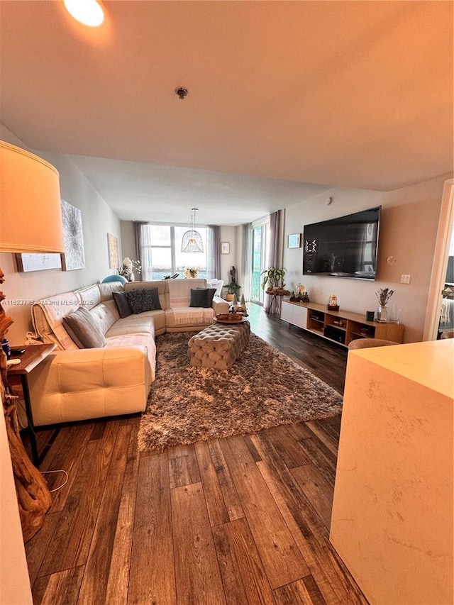 2681 N Flamingo Rd Unit 908S, Sunrise, FL 33323 - living room with hardwood / wood-style floors