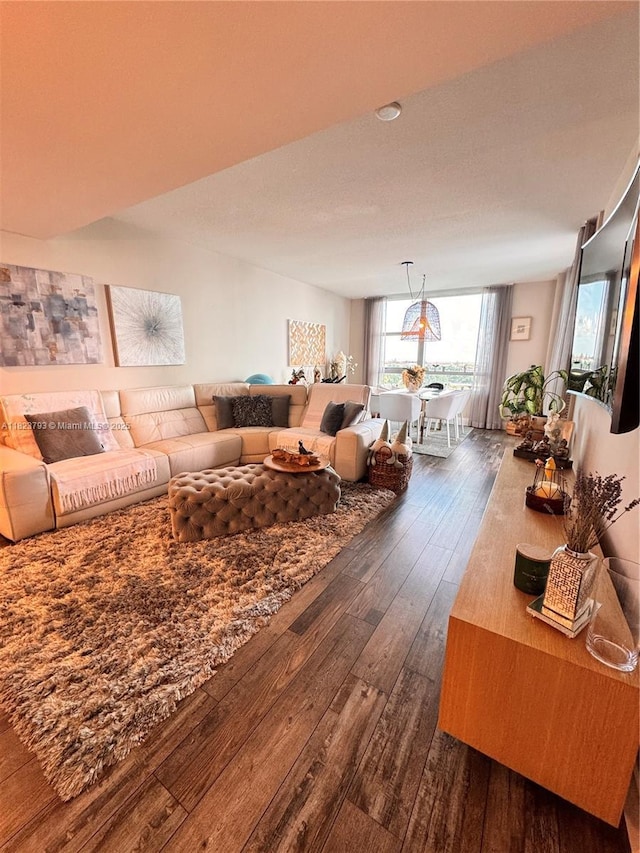 2681 N Flamingo Rd Unit 908S, Sunrise, FL 33323 - living room featuring dark wood finished floors